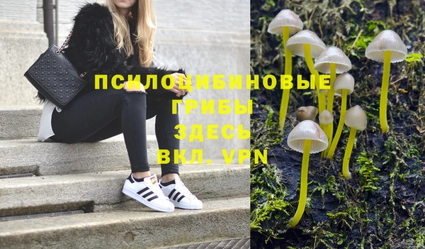 ECSTASY Волосово