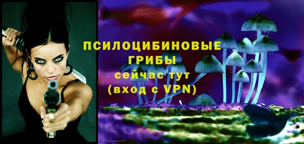 ECSTASY Волосово